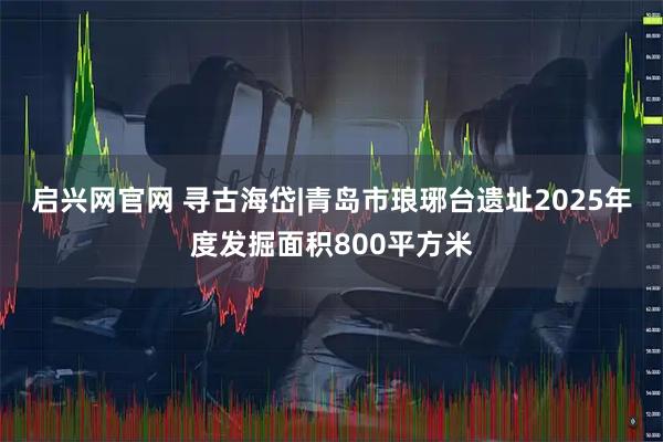 启兴网官网 寻古海岱|青岛市琅琊台遗址2025年度发掘面积800平方米