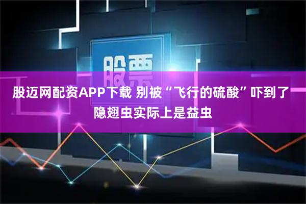 股迈网配资APP下载 别被“飞行的硫酸”吓到了 隐翅虫实际上是益虫